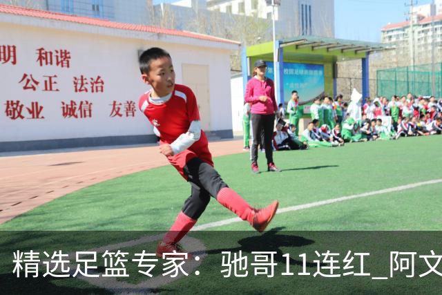 精选足篮专家：驰哥11连红 阿文、灵羽10连红