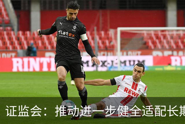 证监会：推动进一步健全适配长期投资的长周期考核机制